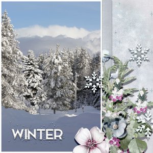 WINTER