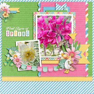 Spring