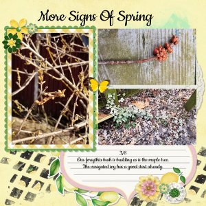 3/2022 Designer Spotlight - North Meets South