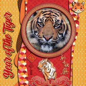 Year of the Tiger