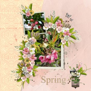 Spring is here