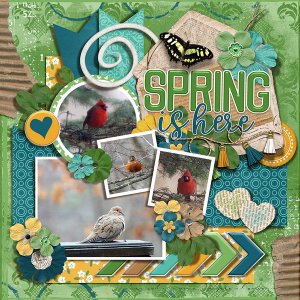 Spring Birds