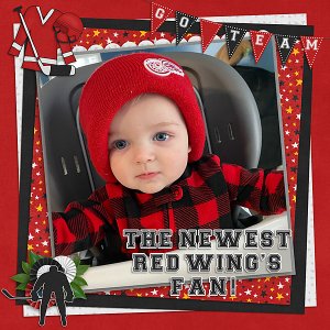 Red Wings Fan