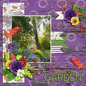 Welcome to my garden