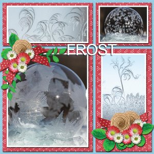Frost