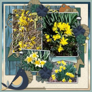 Spring Awakens