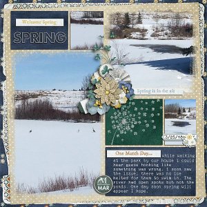 Welcome Spring well not yet