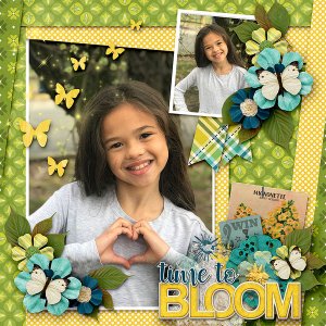 Time To Bloom