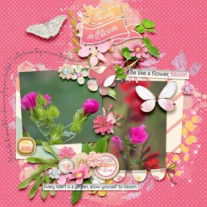 Beauty in Bloom