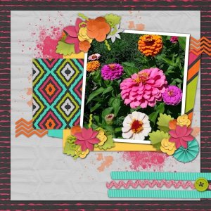 Color My World