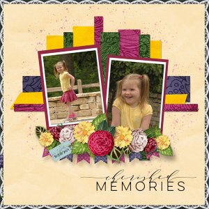 Cherished Memories