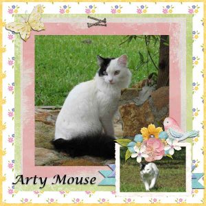 Arty Mouse March