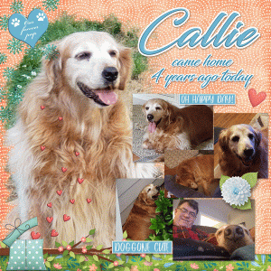Callie