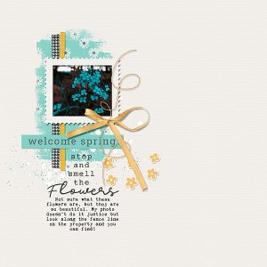 Welcome Spring