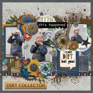 dirt collector