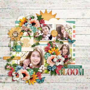 bloom