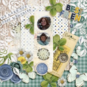 Best Friends challenge - life chronicled