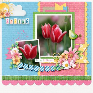 Spring