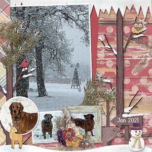 GSSurpriseCh322-TxSnowDogs011021