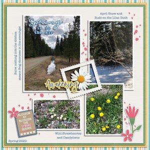 SPRING IS IN THE AIR