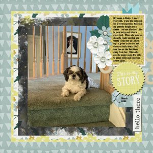 2022-02-09 Daisy Story
