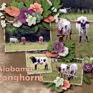 Alabama Longhorns