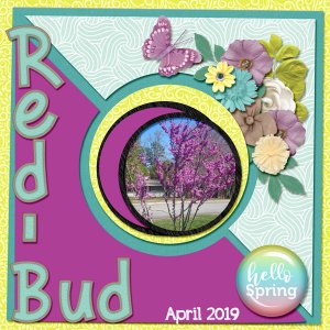 Red Bud Tree