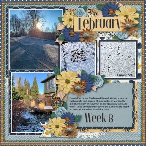 Week 8 of 52 2