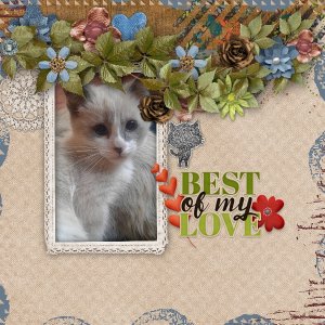 My beloved cat