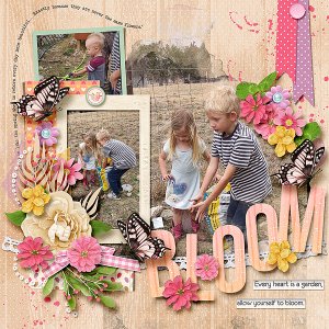Bloom