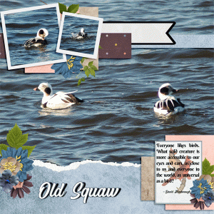 Old Squaw