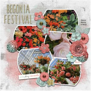 Begonia Festival