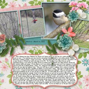 Week 6 - 12 March 2022