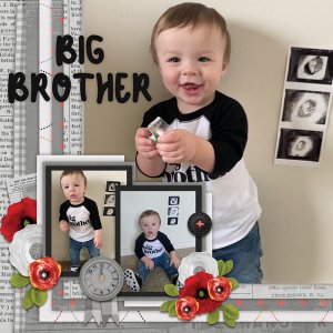 Big + Little 9 Template #2-Miss Fish, Poppys-SNP. Blessing Challenge