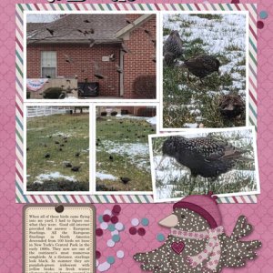 The Birds