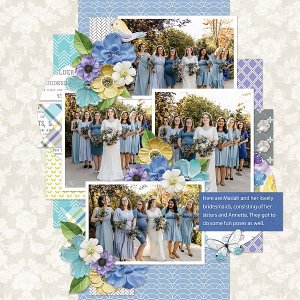 Bridal Brigade 2