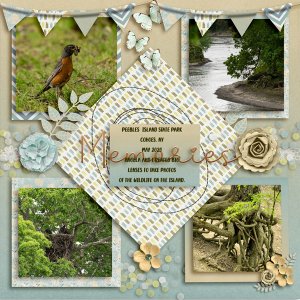 PEEBLES ISLAND - MEMORIES CHALLENGE - MARCH 2022