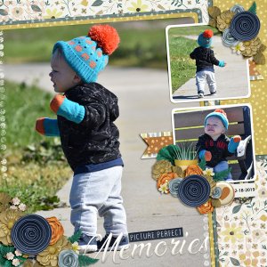 Picture Perfect Memories