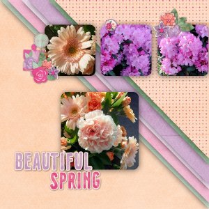 Beautiful spring