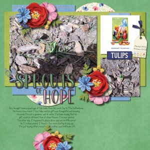 Sprouts of Hope