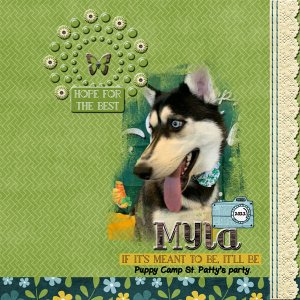 2022-03-17 Myla Puppy Camp