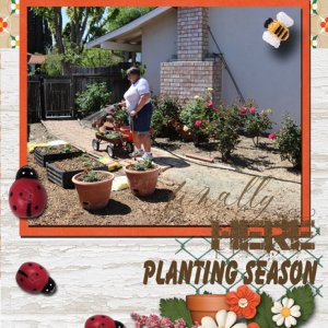 Planting Season