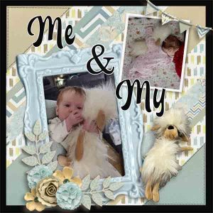 Wren_Fancy