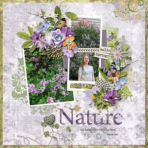 Lilac Bushes