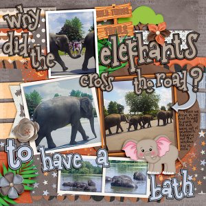 Elephants Question