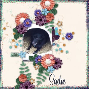 Sadie