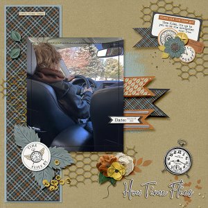 Segment 1 of Drivers Training