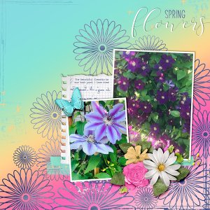 ~Spring Flowers~
