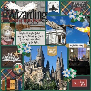 Wizarding World of Harry Potter