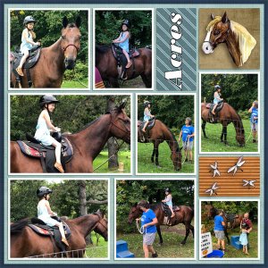 Firefly_Acres_R